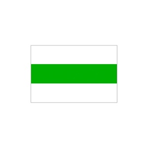 vlag van de stad Groningen
