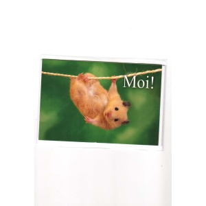 Wenskaart MOI muis