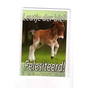 Geboorte wenskaart Leutje der bie
