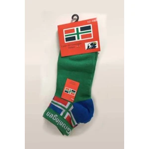 Groninger sokken met groene voet