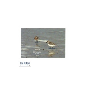 Fotokaart Gronings Loperij