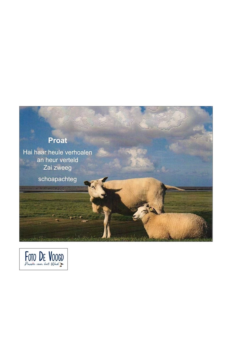Fotokaart Gronings Proat