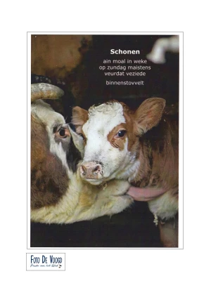 Schonen