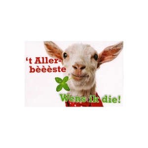 Wenskaart 't Allerbèèèste wens ik die!