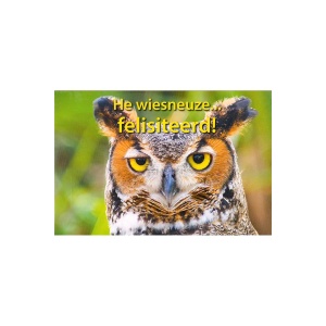 Wenskaart He wiesneuze… felisiteerd!