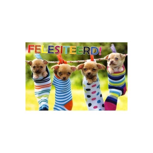 Wenskaart FELESITEERD! Hondjes