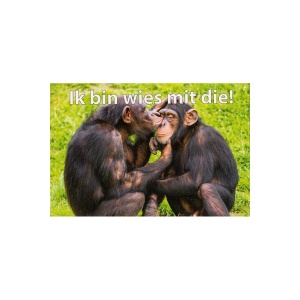 Wenskaart Ik bin wies mit die!