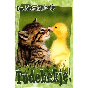 Wenskaart Doe bist mien leutje Tudebekje!