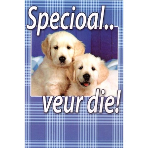 Wenskaart Specioal veur die!
