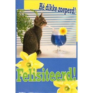 Wenskaart Hé dikke zoeperd! Felesiteerd!