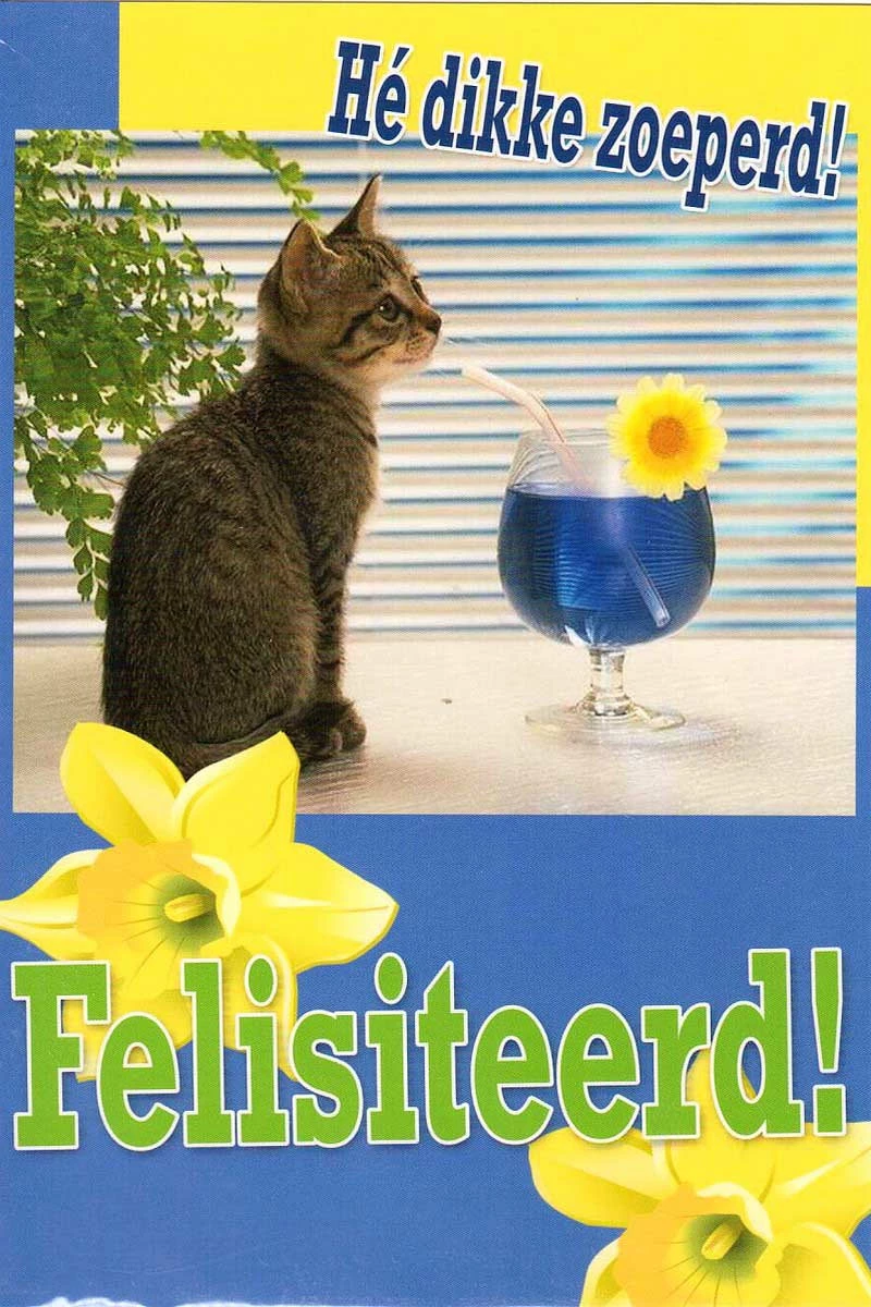 Wenskaart Hé dikke zoeperd! Felesiteerd!