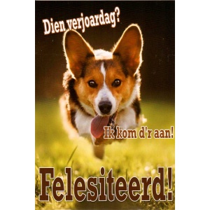 Wenskaart Dien verjoardag? Felesiteerd!