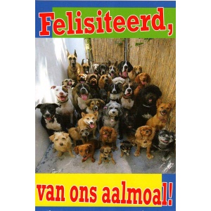 Wenskaart Felesiteerd van ons aalmoal!