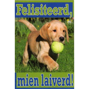 Wenskaart Felesiteerd