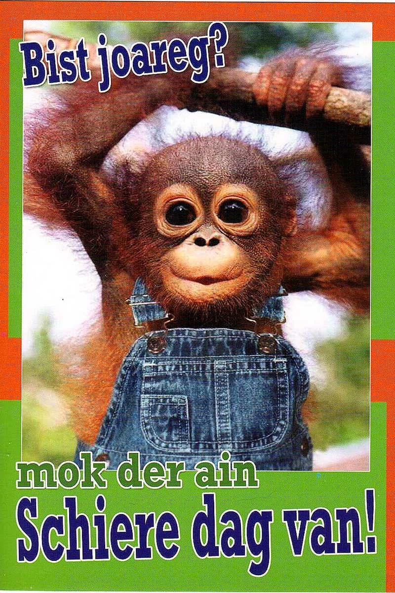Wenskaart Bist joareg? Mok der ain Schiere dag van!
