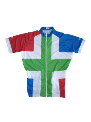 Fietsshirt Groningervlag