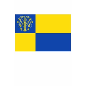 Vlag Westerwolde