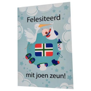 Groninger geboortjekaartje zoon