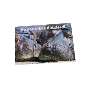 Wenskaart Groningen dodderd