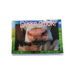 Wenskaart Dikke Smok