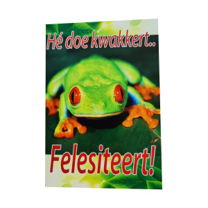 Wenskaart Groningen kwakkert..