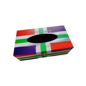Tissuebox Groningen