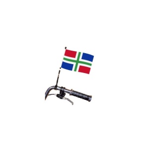Fietsvlag Groningen