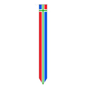 Groninger wimpel