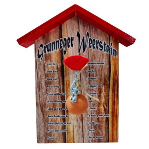 Weerstation Groningen houtlook 20 x 38cm.